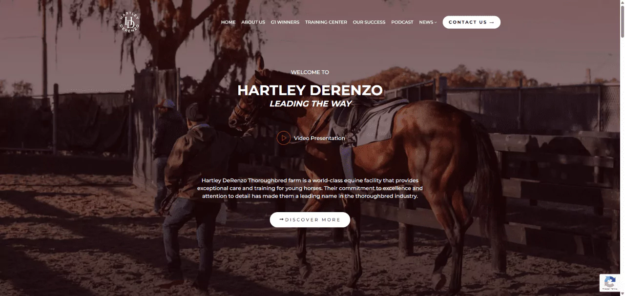 Hartley DeRenzo – Cuidado y Entrenamiento de Caballos